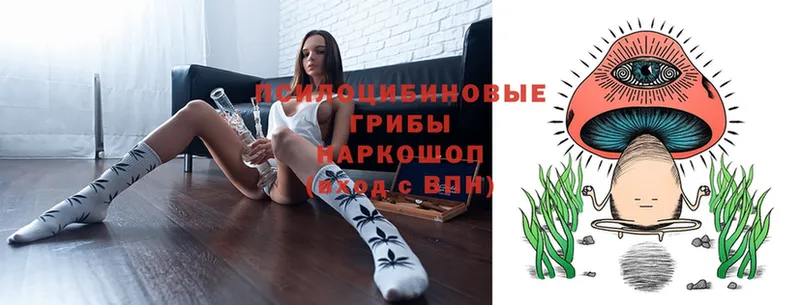 Псилоцибиновые грибы Psilocybine cubensis  shop клад  Сортавала 